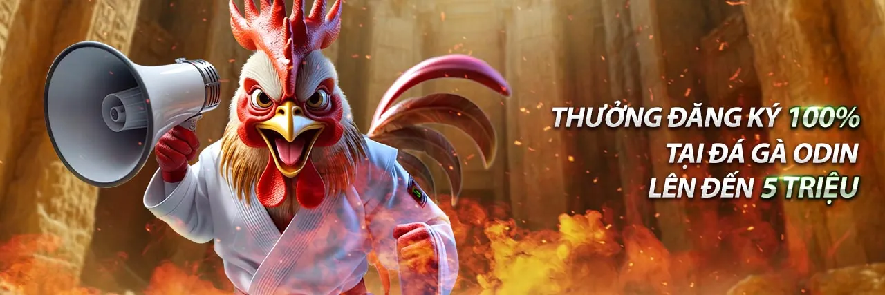 Hình ảnh đá gà trực tuyến sôi động tại TT88 Nổ Hũ