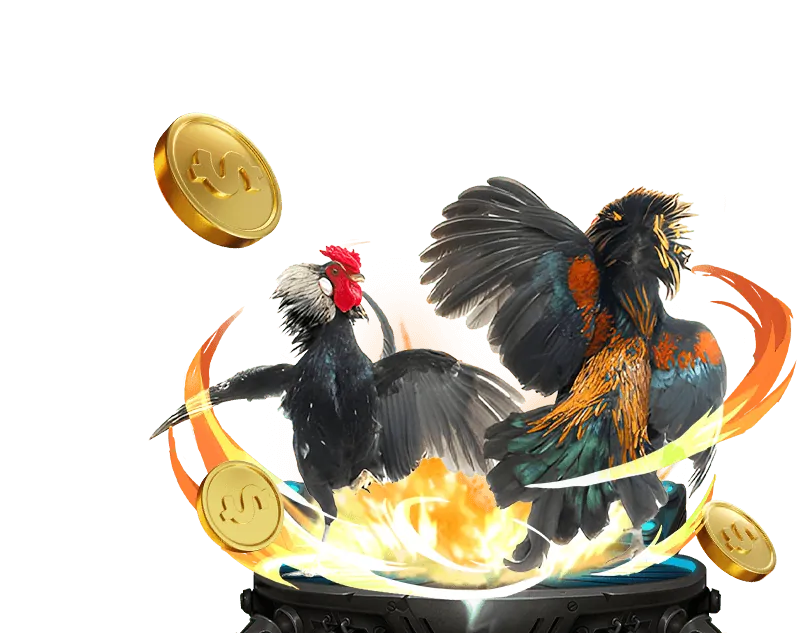 Hình ảnh các trận đá gà trực tuyến tại tt88